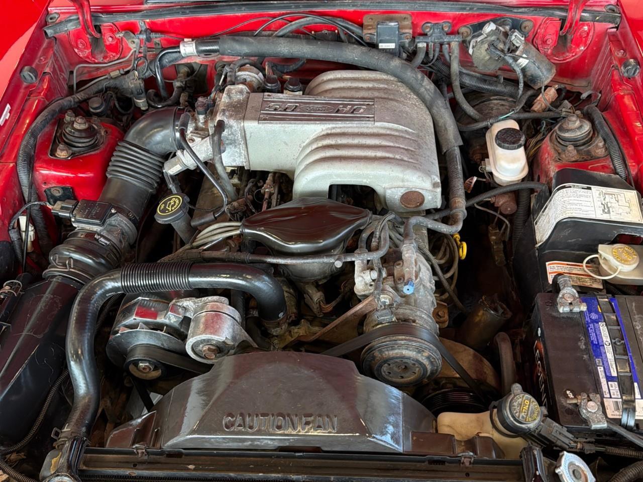 1992 Ford Mustang  Photo