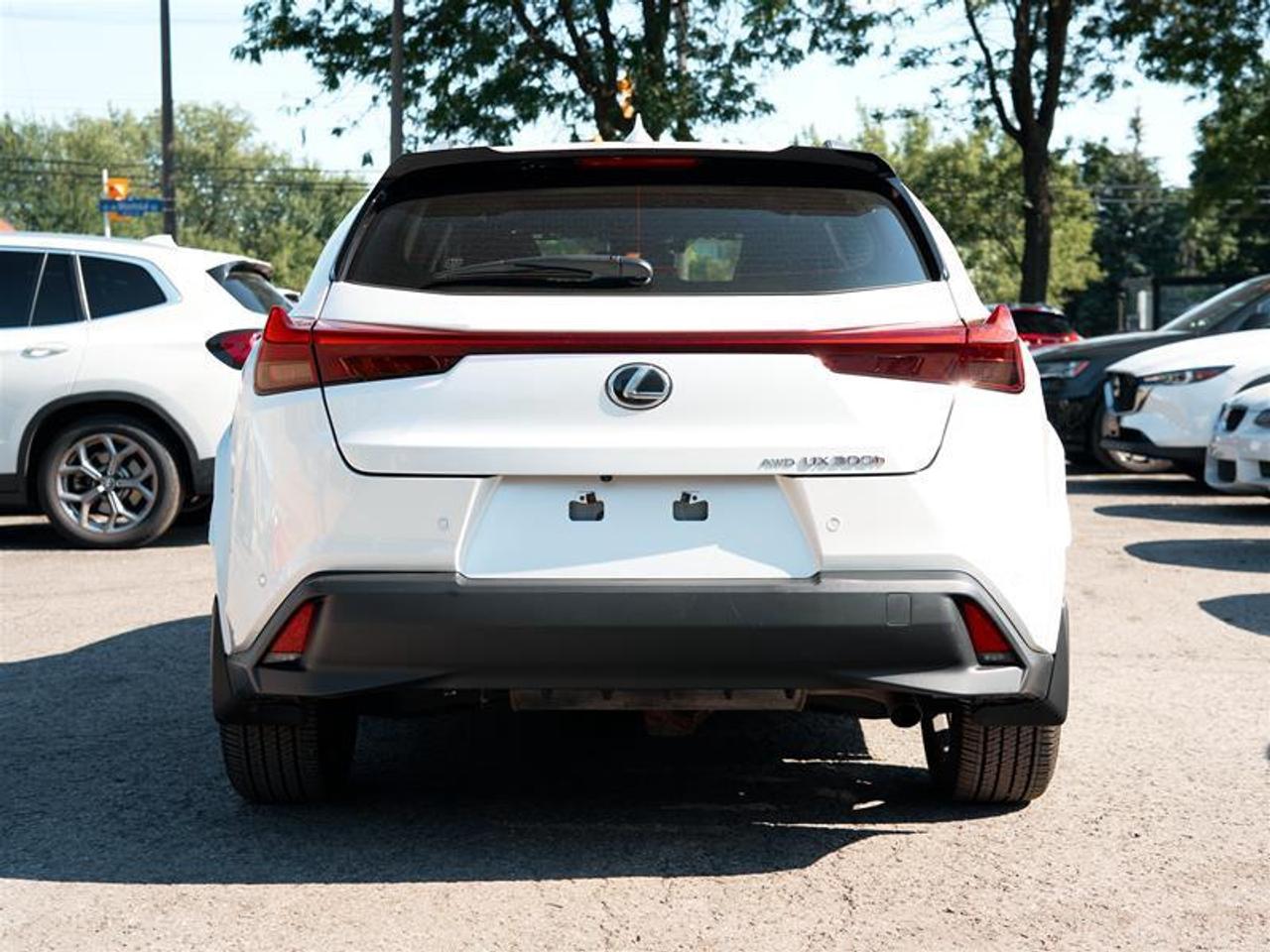 2025 Lexus UX 300h AWD Photo