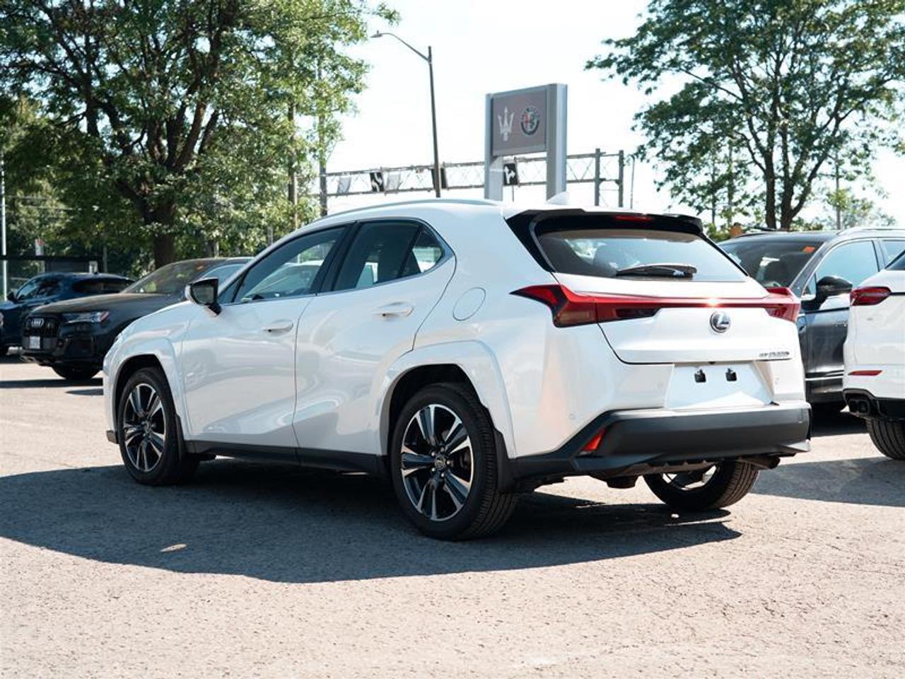 2025 Lexus UX 300h AWD Photo
