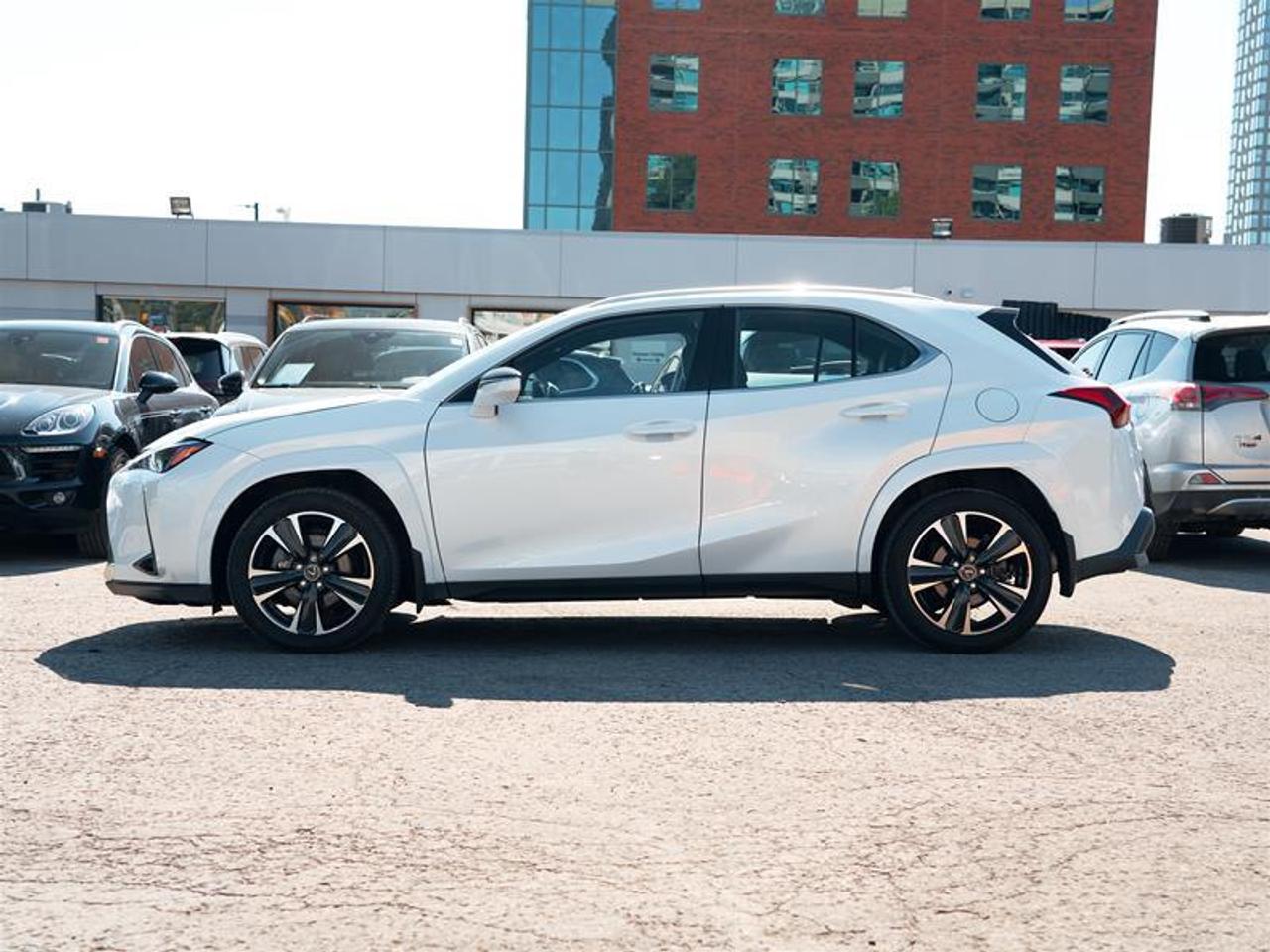 2025 Lexus UX 300h AWD Photo