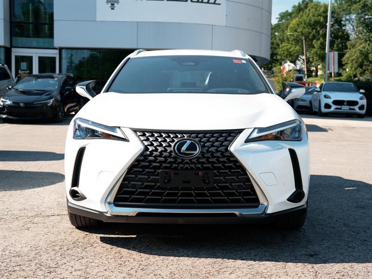 2025 Lexus UX 300h AWD Photo5