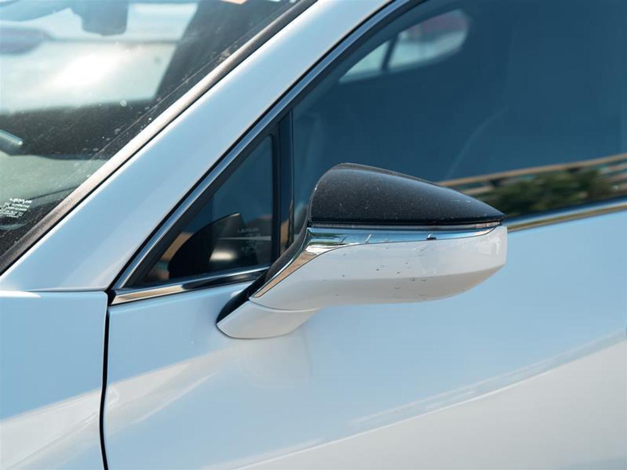 2025 Lexus UX 300h AWD Photo