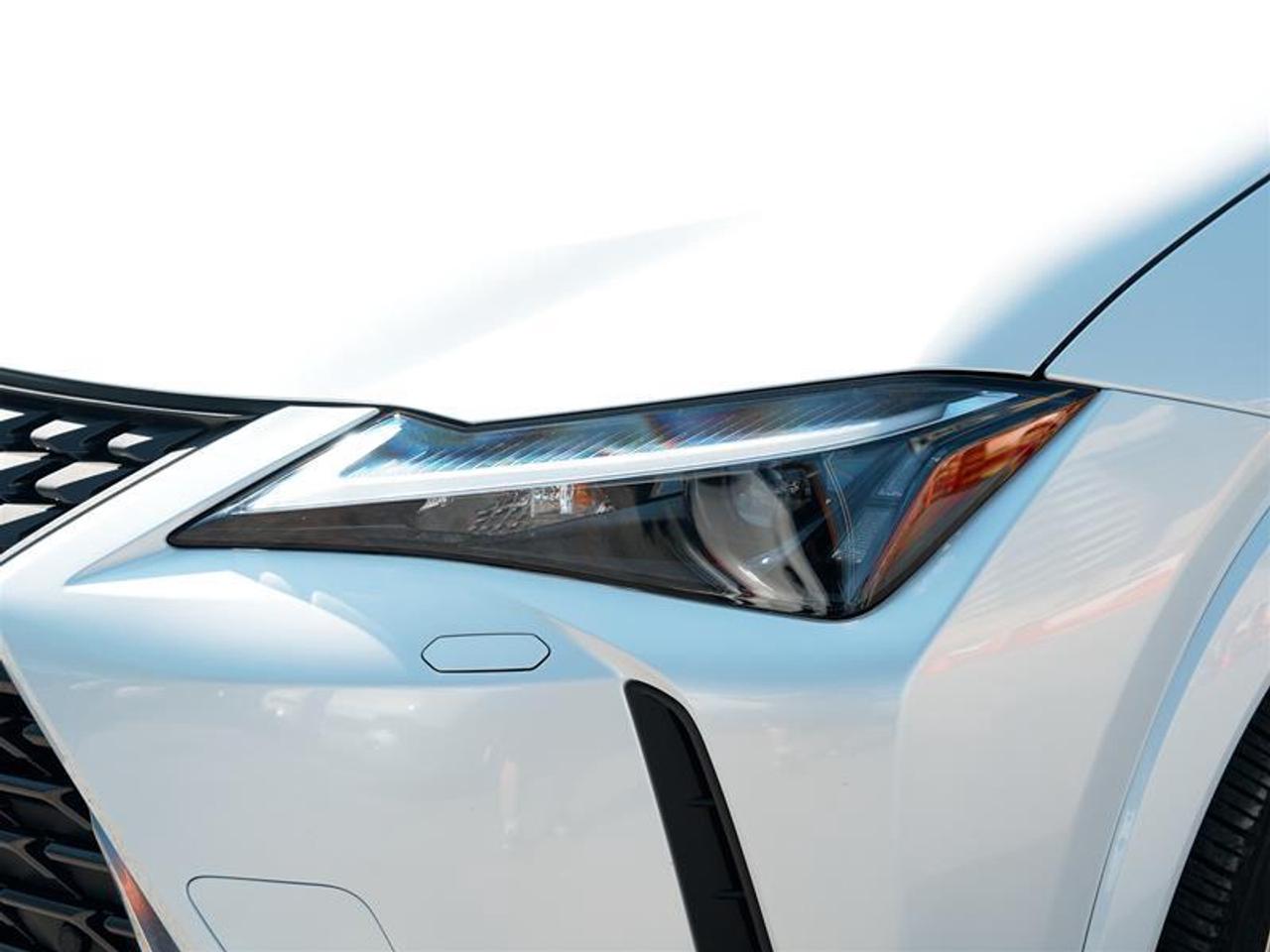 2025 Lexus UX 300h AWD Photo