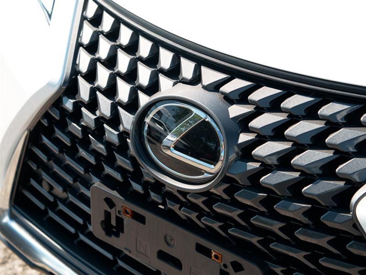 2025 Lexus UX 300h AWD Photo