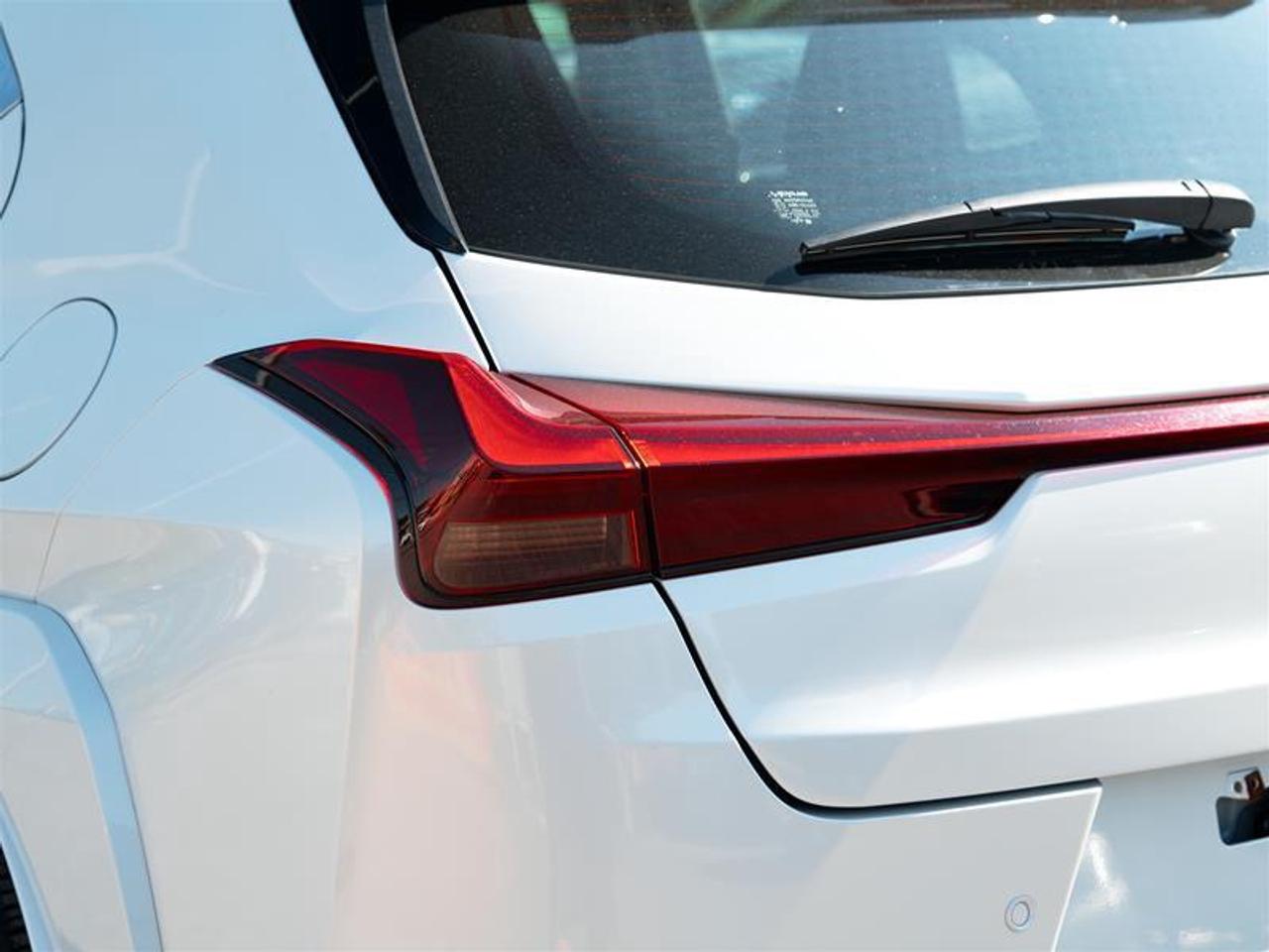 2025 Lexus UX 300h AWD Photo