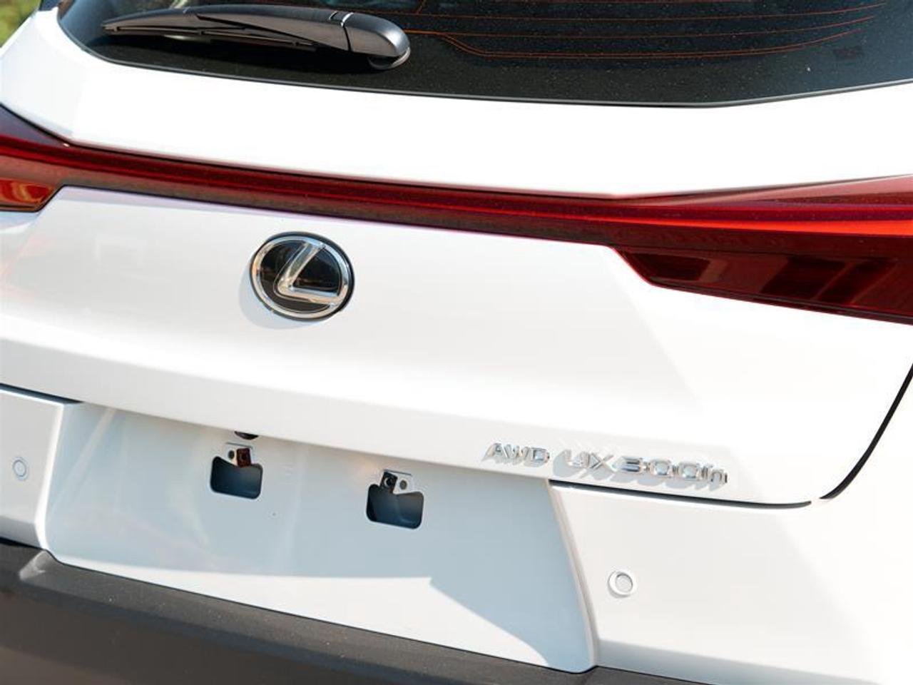 2025 Lexus UX 300h AWD Photo