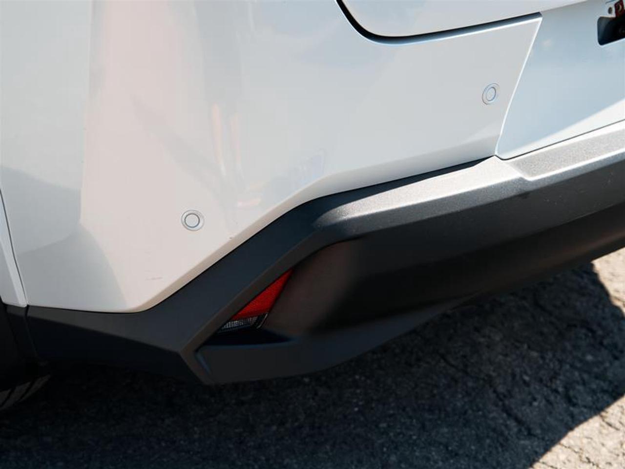 2025 Lexus UX 300h AWD Photo