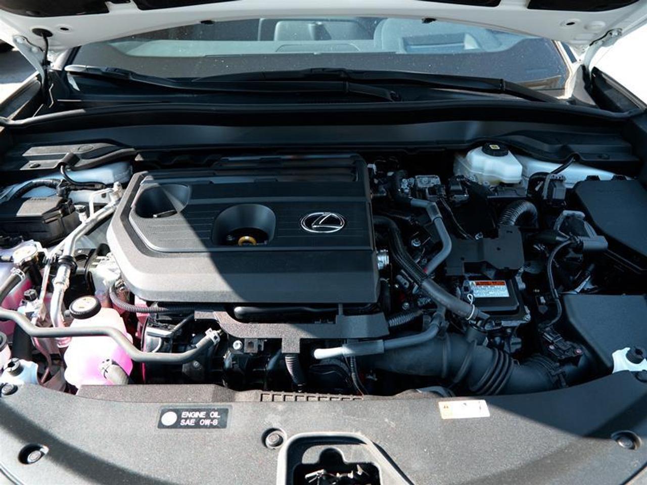 2025 Lexus UX 300h AWD Photo