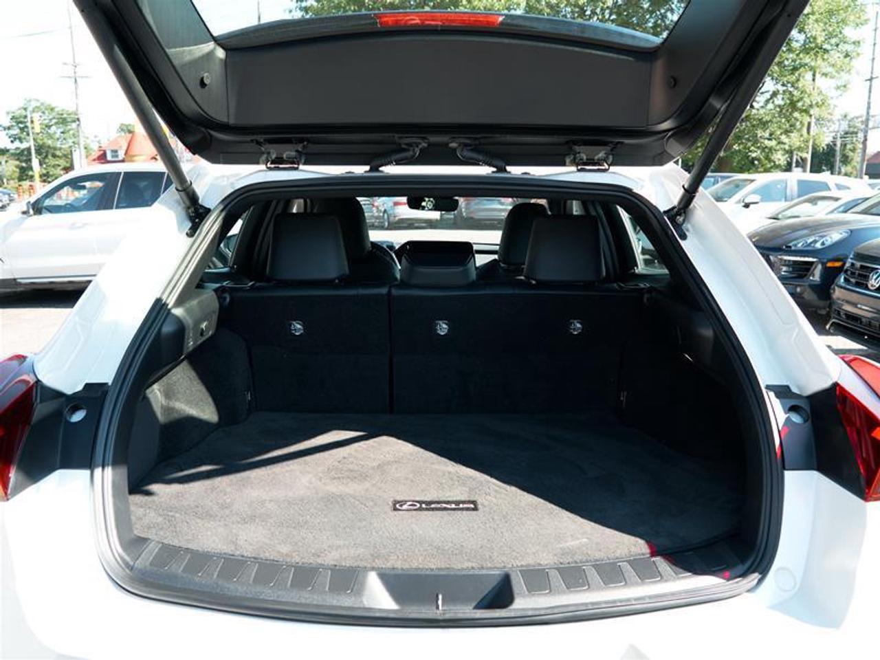 2025 Lexus UX 300h AWD Photo