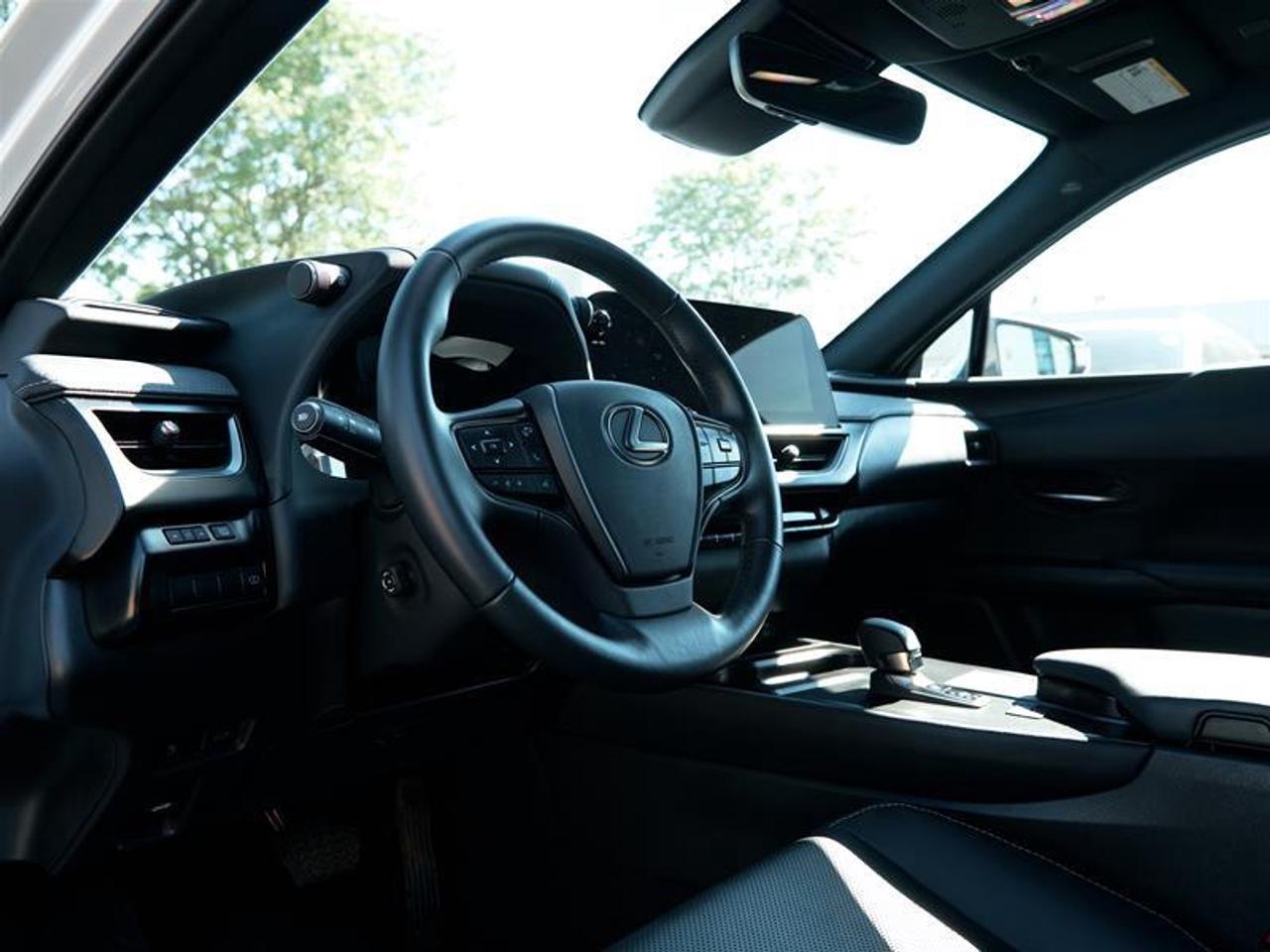 2025 Lexus UX 300h AWD Photo