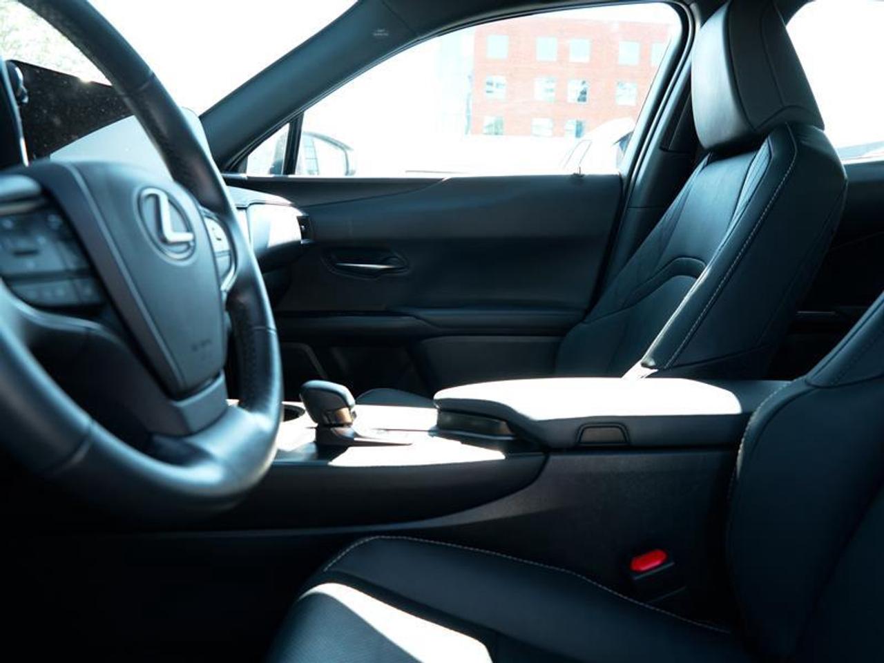 2025 Lexus UX 300h AWD Photo