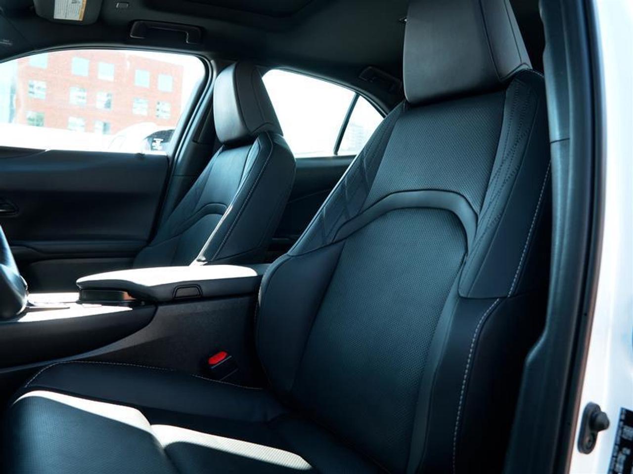 2025 Lexus UX 300h AWD Photo