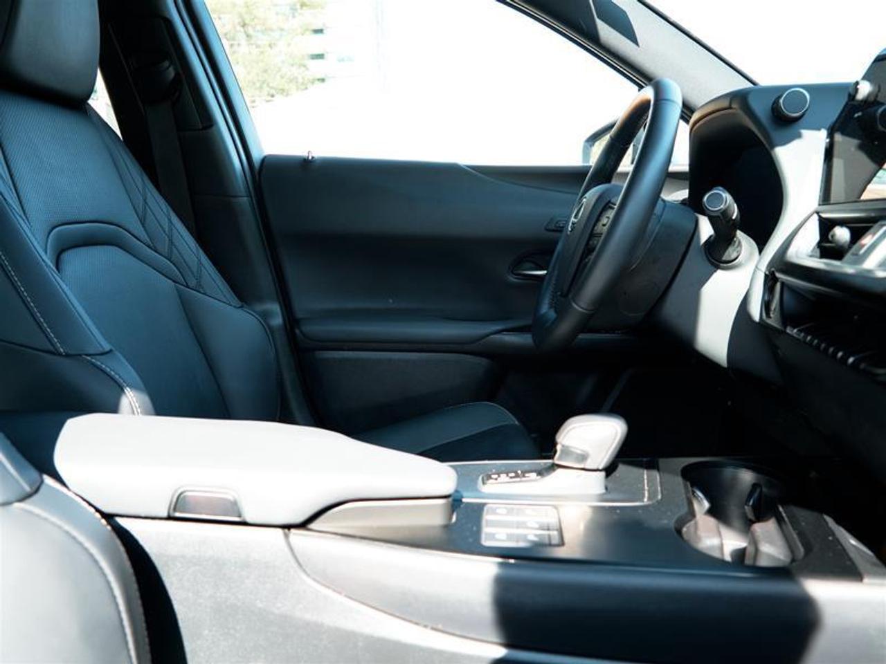 2025 Lexus UX 300h AWD Photo