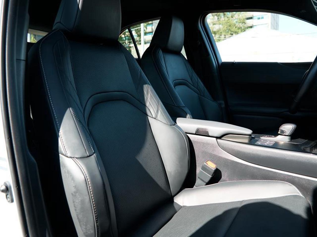 2025 Lexus UX 300h AWD Photo