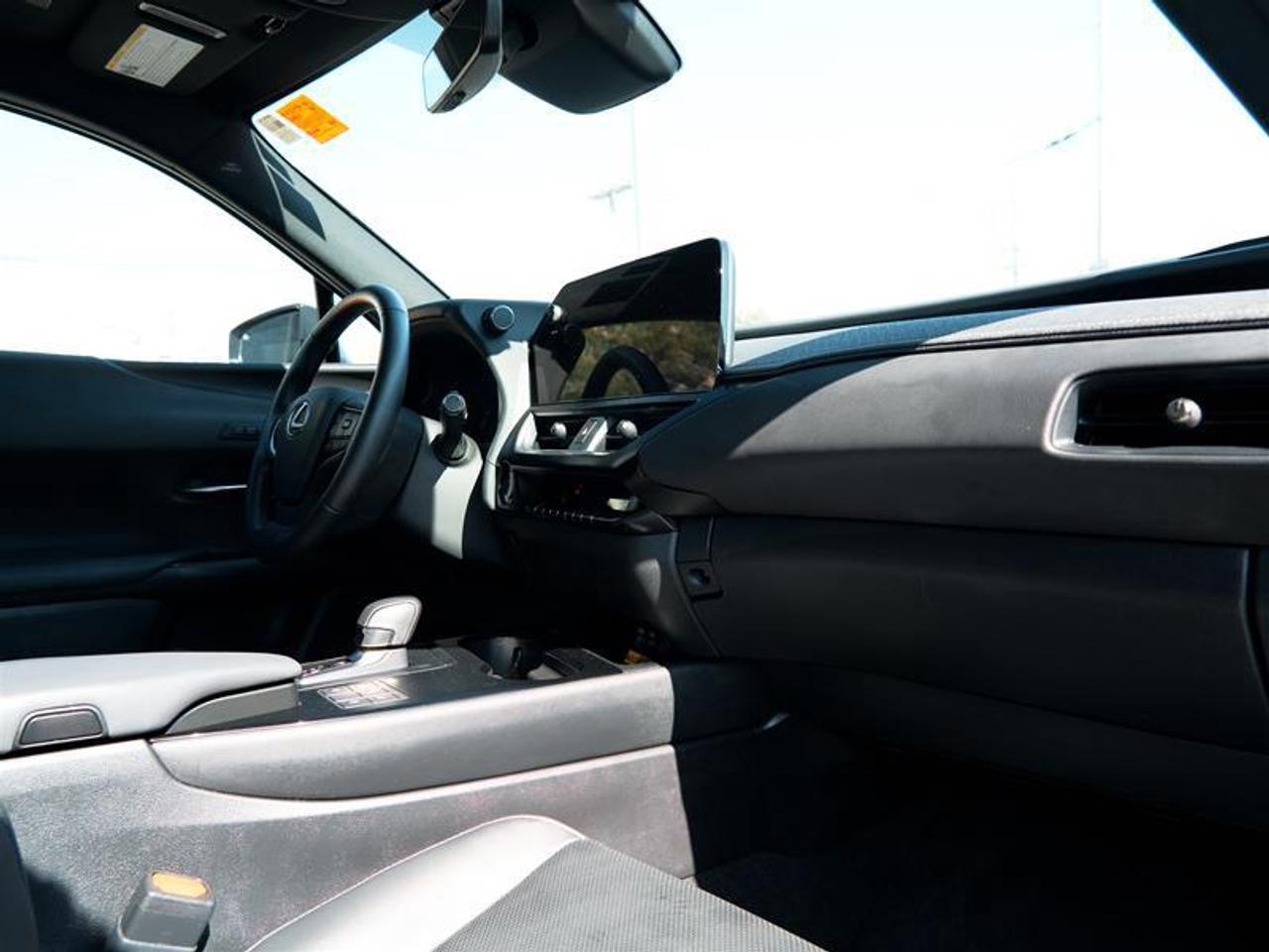 2025 Lexus UX 300h AWD Photo