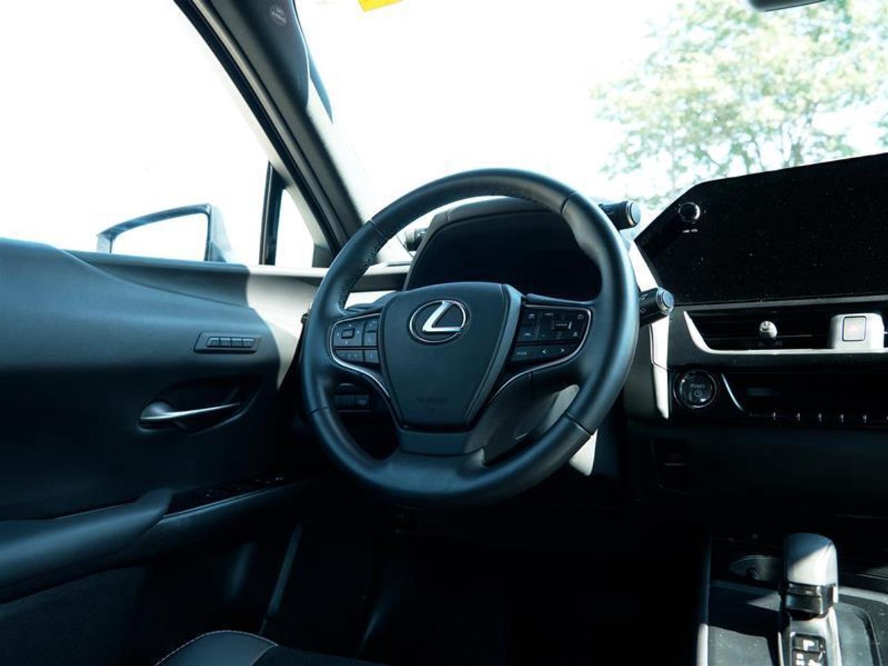 2025 Lexus UX 300h AWD Photo