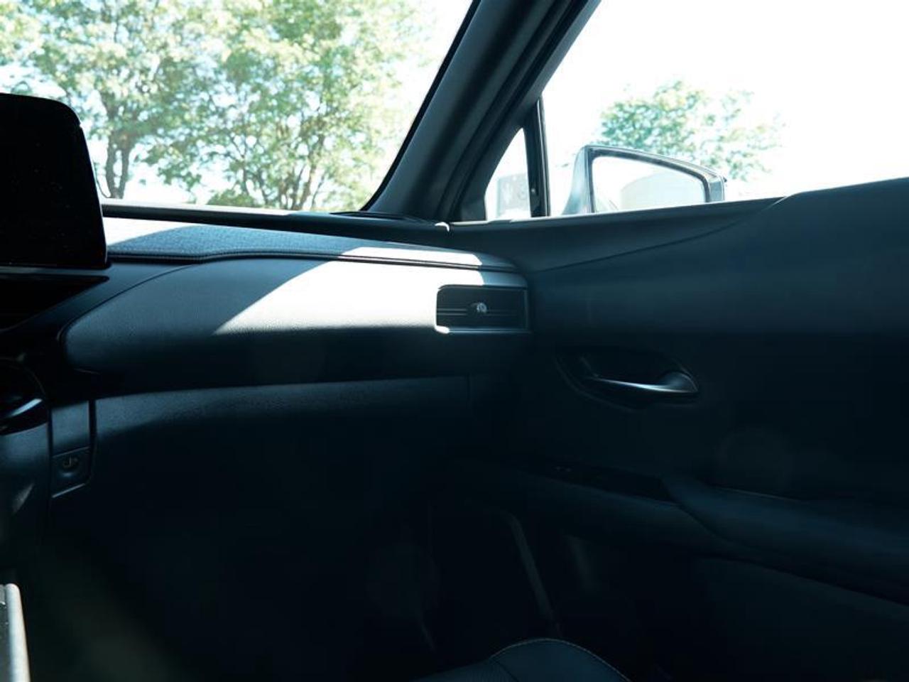 2025 Lexus UX 300h AWD Photo