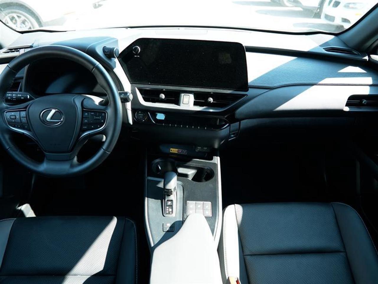 2025 Lexus UX 300h AWD Photo