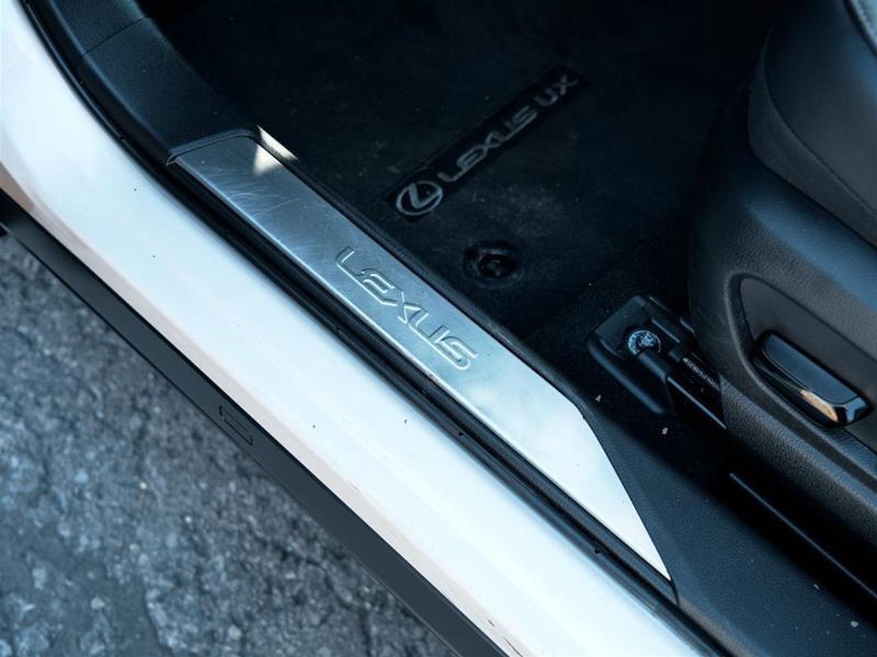 2025 Lexus UX 300h AWD Photo