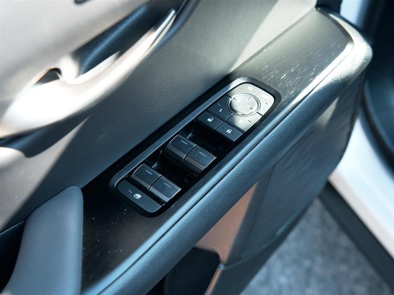 2025 Lexus UX 300h AWD Photo