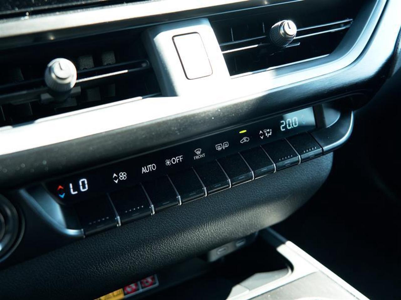 2025 Lexus UX 300h AWD Photo