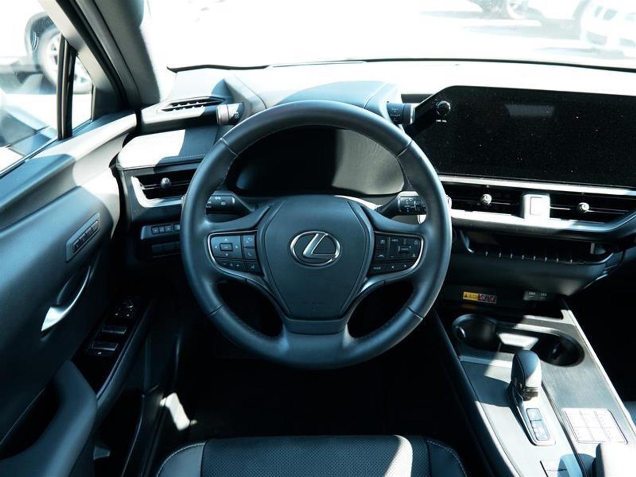 2025 Lexus UX 300h AWD Photo