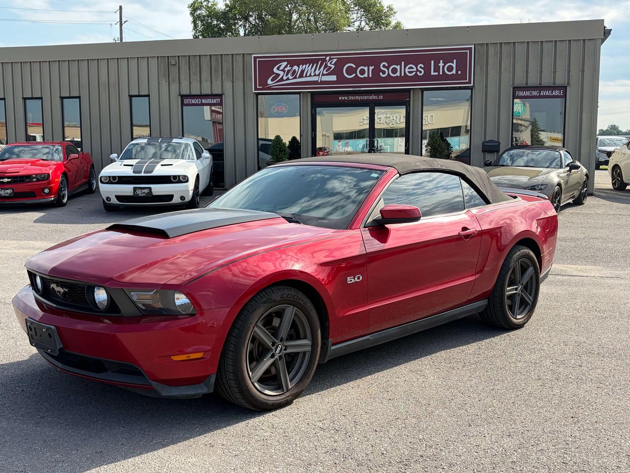 2011 Ford Mustang GT 5L CONVERTIBLE LEATHER CALL NAPANEE 6133542100 Photo0