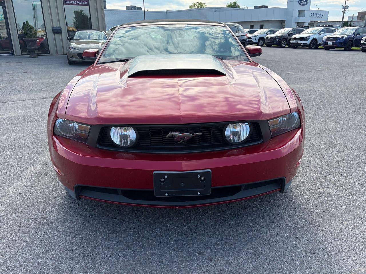 2011 Ford Mustang GT 5L CONVERTIBLE LEATHER CALL NAPANEE 6133542100 Photo