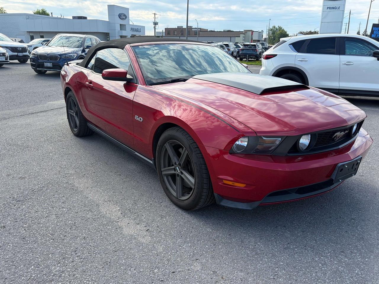 2011 Ford Mustang GT 5L CONVERTIBLE LEATHER CALL NAPANEE 6133542100 Photo