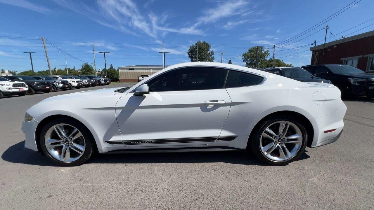 2019 Ford Mustang PREMIUM | 310HP |HTD LEATHER | CARPLAY | NAV Photo4
