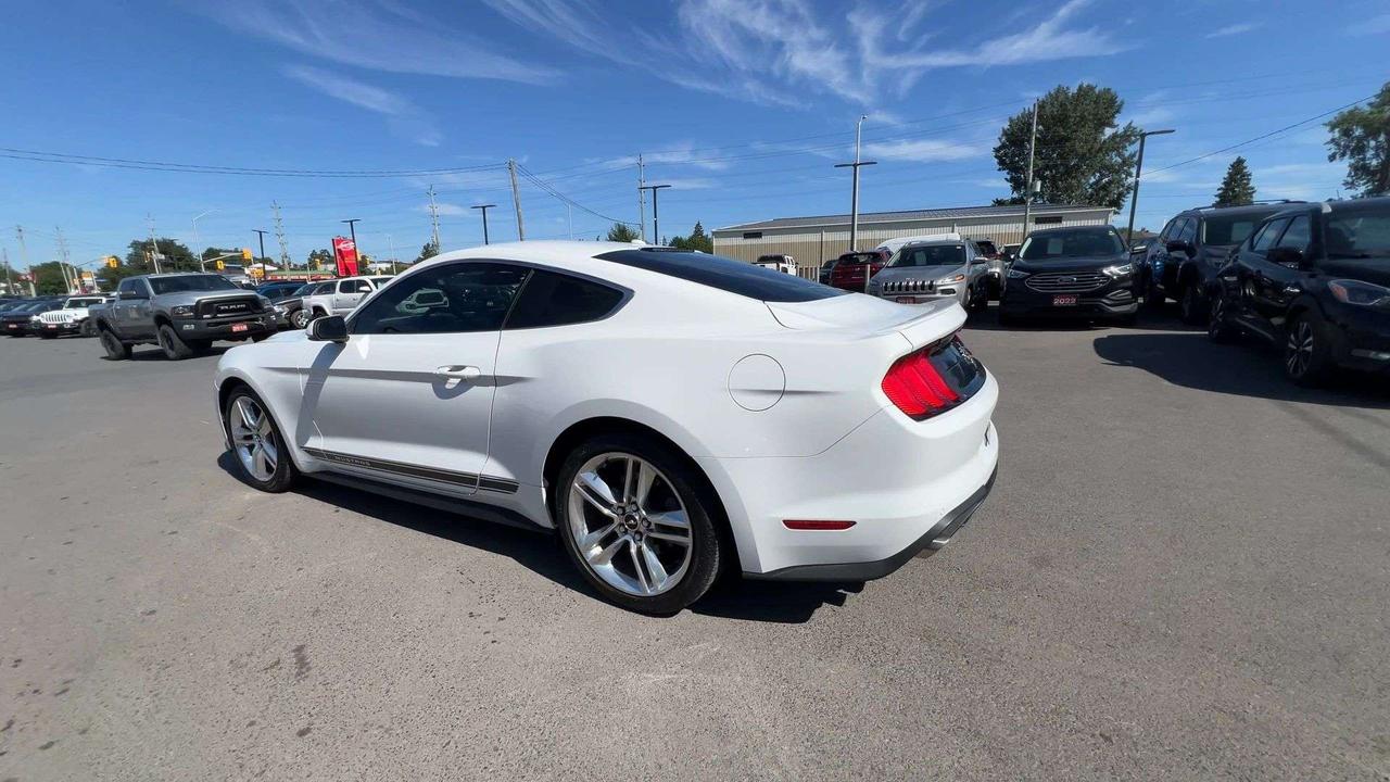 2019 Ford Mustang PREMIUM | 310HP |HTD LEATHER | CARPLAY | NAV Photo