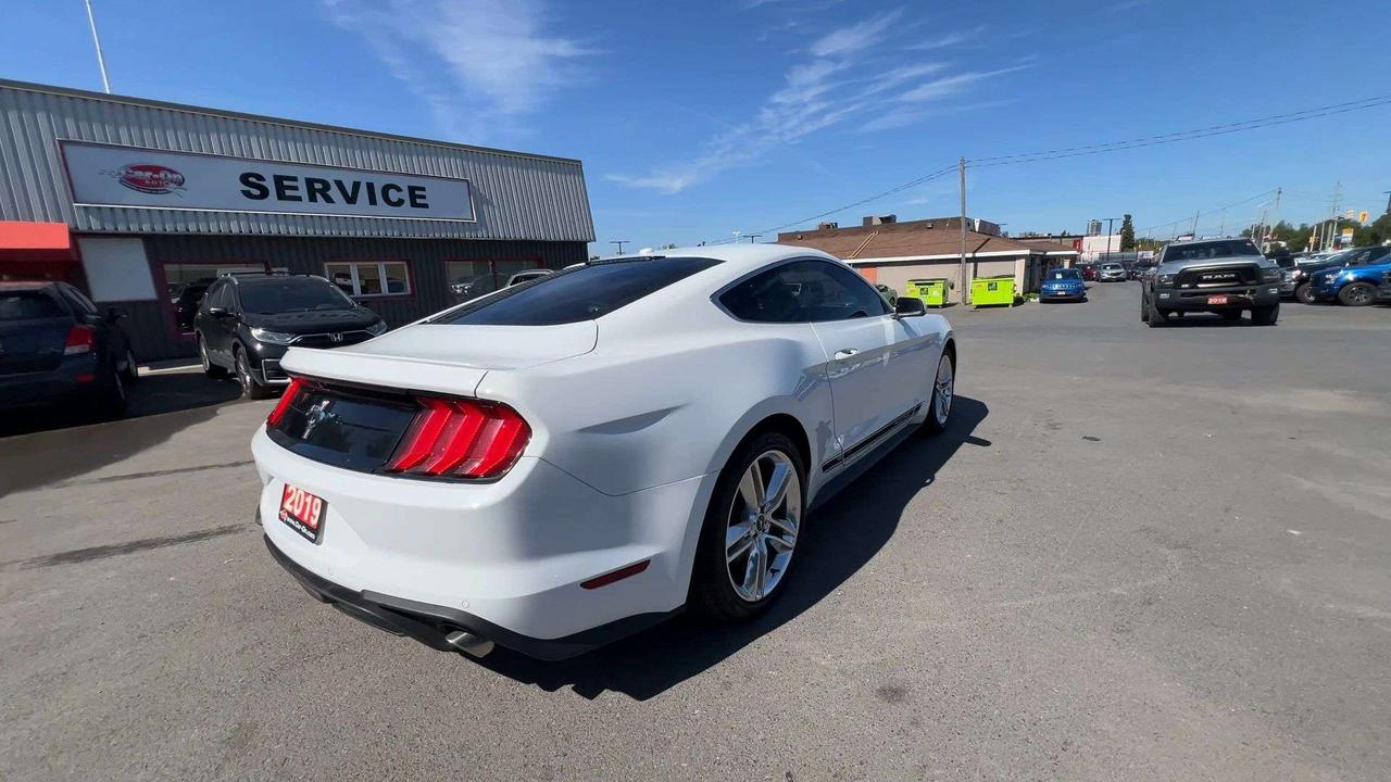 2019 Ford Mustang PREMIUM | 310HP |HTD LEATHER | CARPLAY | NAV Photo