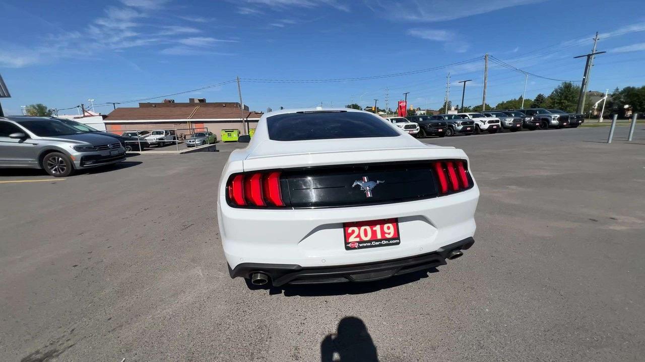 2019 Ford Mustang PREMIUM | 310HP |HTD LEATHER | CARPLAY | NAV Photo