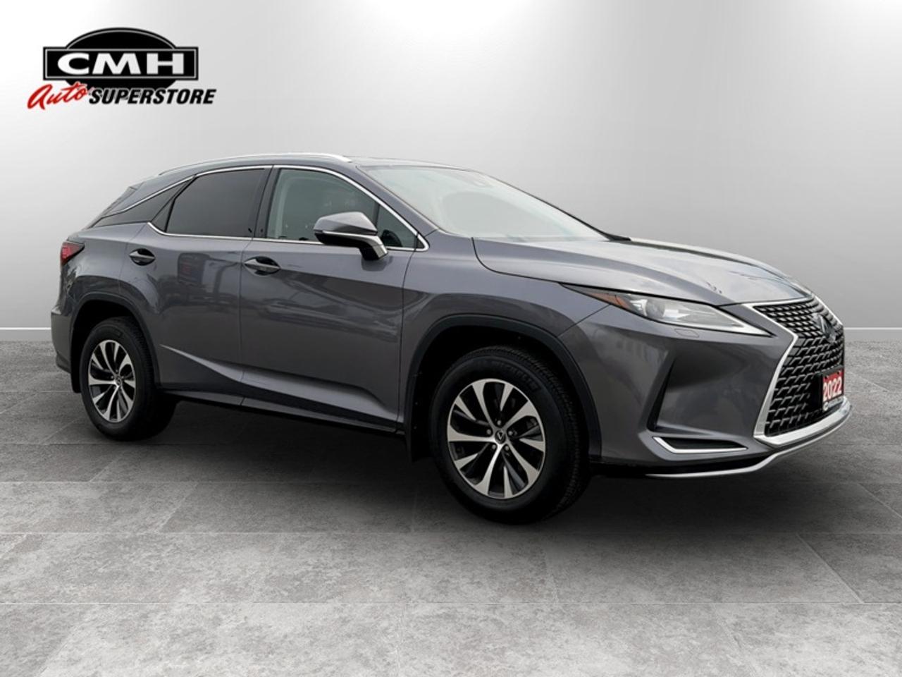 2022 Lexus RX 350 Photo