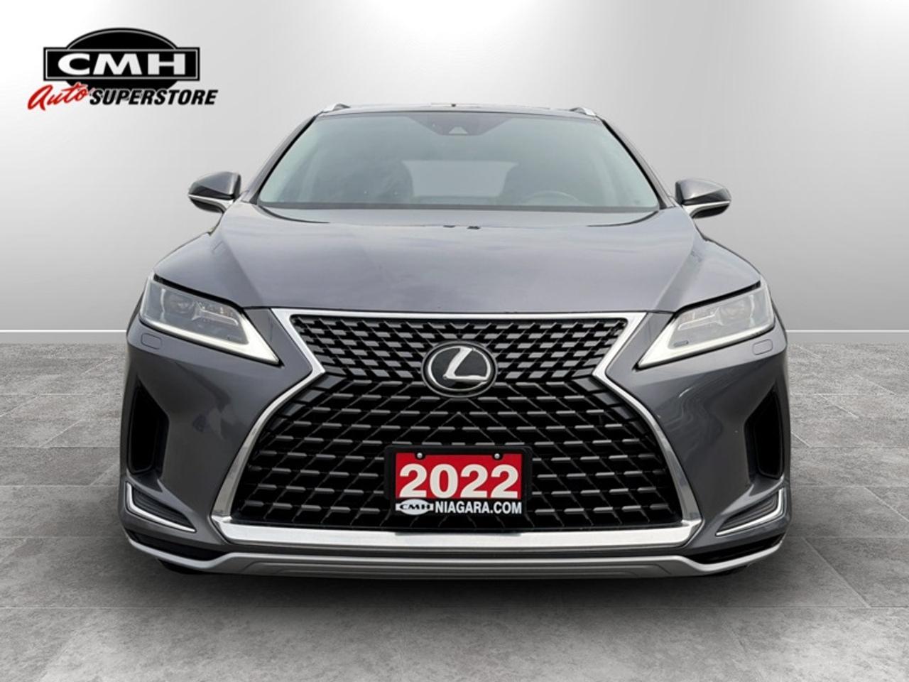 2022 Lexus RX 350 Photo