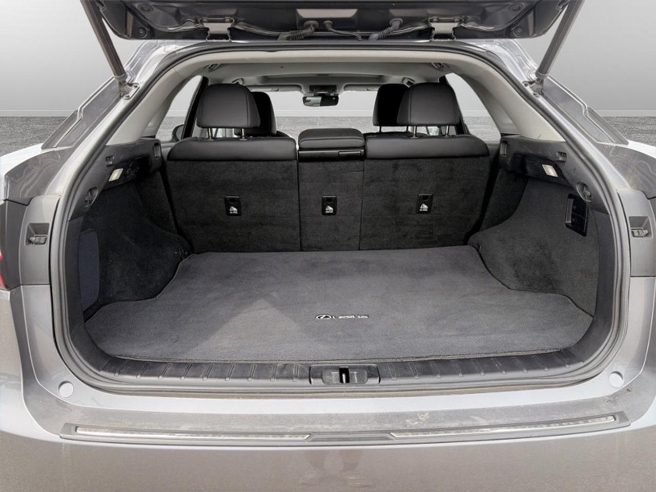 2022 Lexus RX 350 Photo