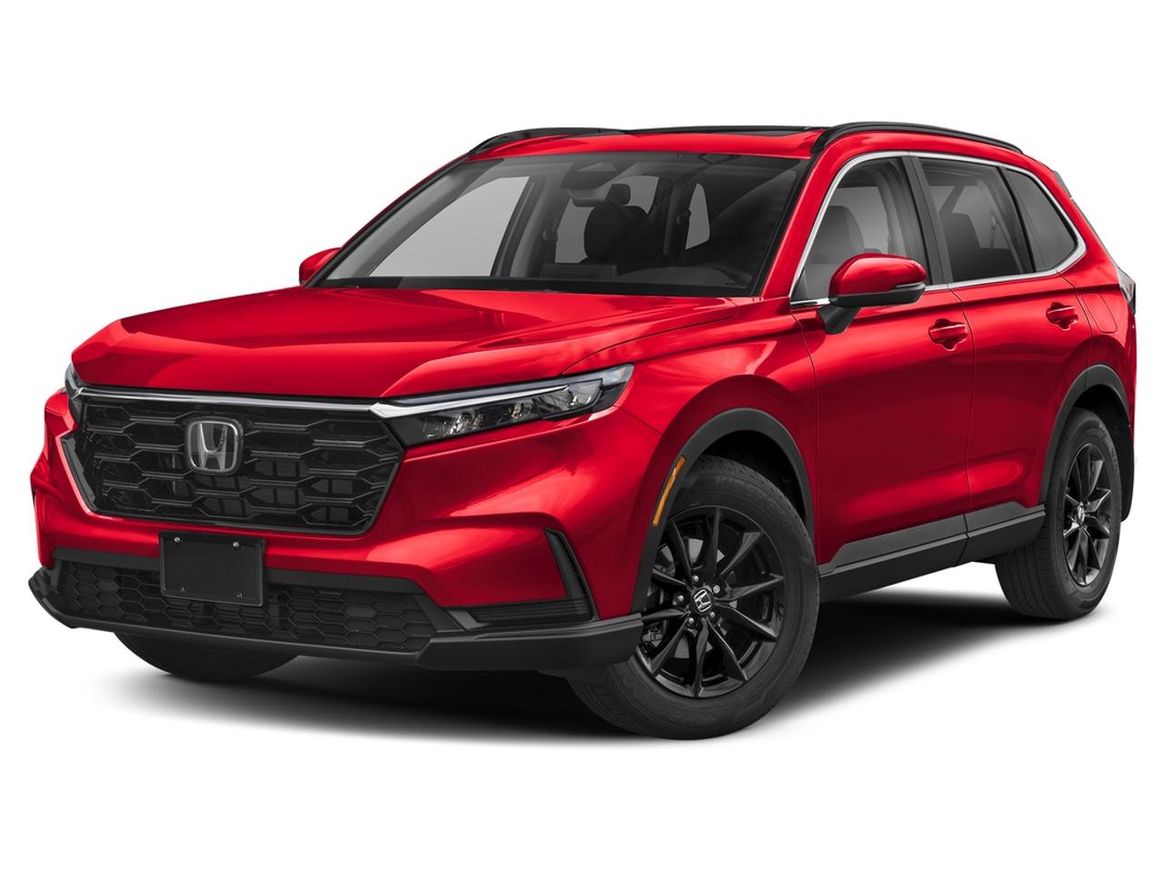 Sport AWD