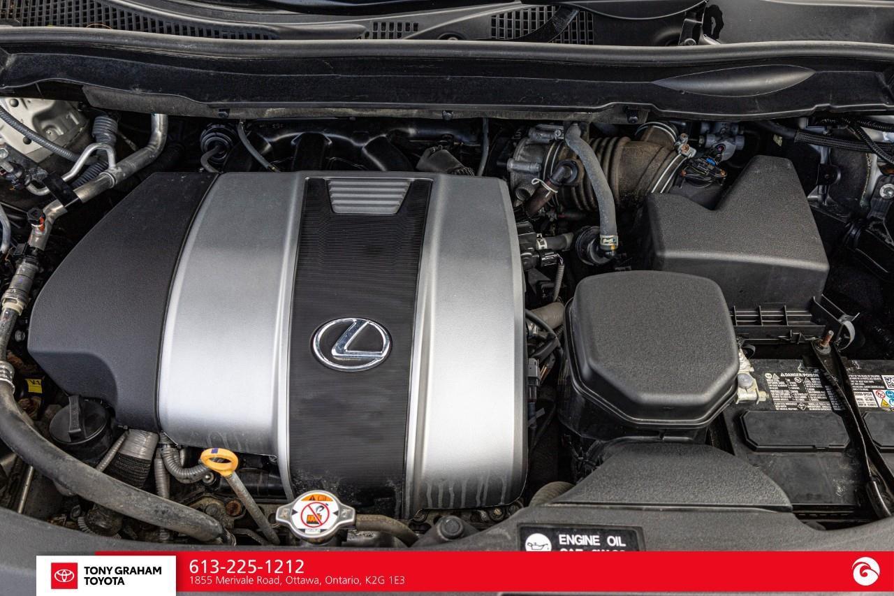 2022 Lexus RX 350  Photo