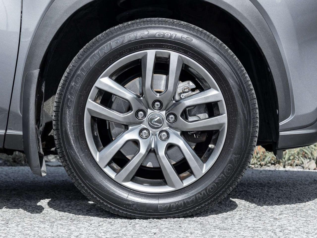 2021 Lexus NX NX 300 AWD, Camera Photo