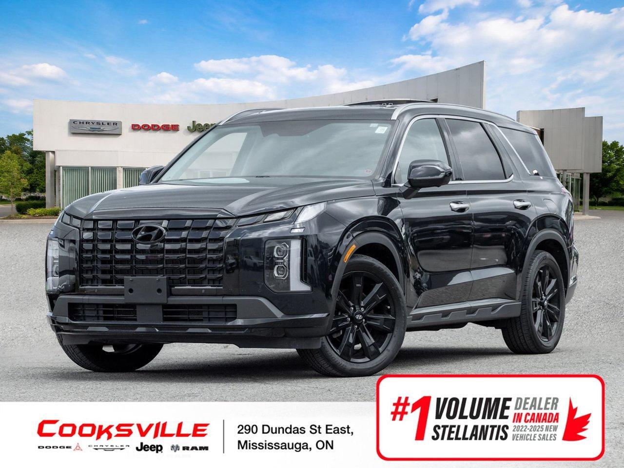 2023 Hyundai PALISADE AWD Urban 8P Photo