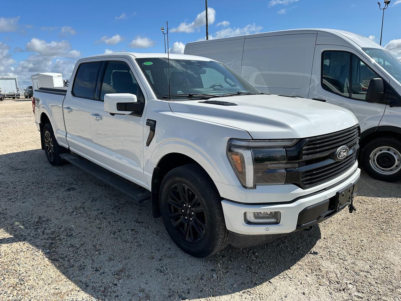 2024 Ford F-150 Platinum Photo2