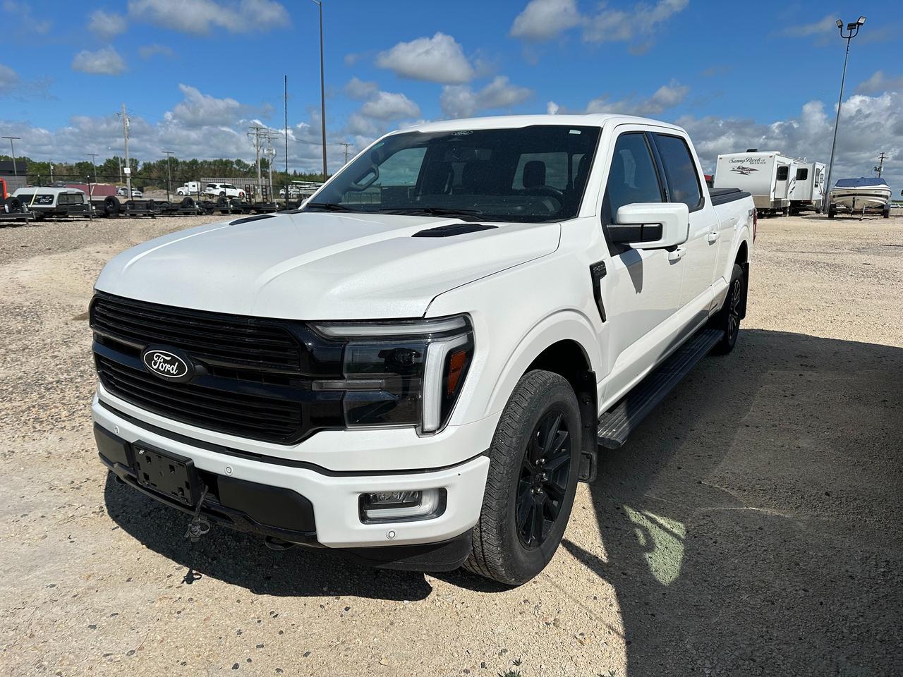 2024 Ford F-150 Platinum Photo5