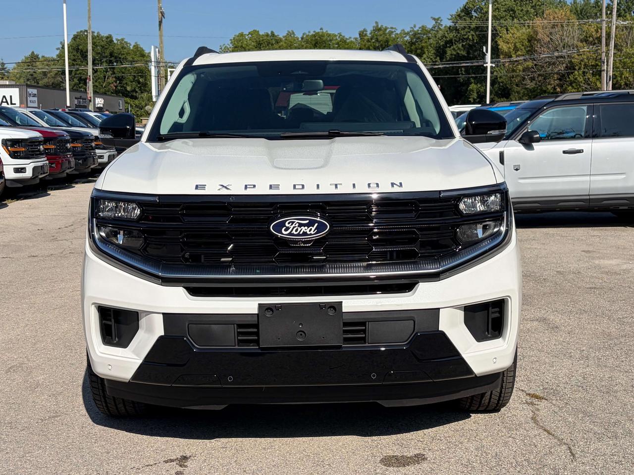 2027 Ford Expedition PLATINUM 4x4 600A Photo1