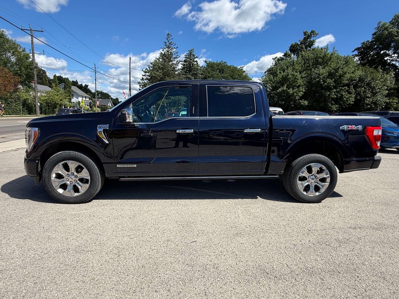 2021 Ford F-150 Platinum 4WD SuperCrew 5.5' Box Photo2