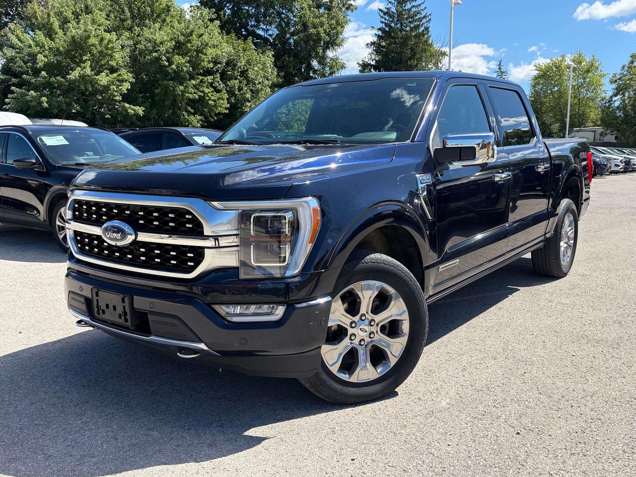 2021 Ford F-150 Platinum 4WD SuperCrew 5.5' Box Photo0