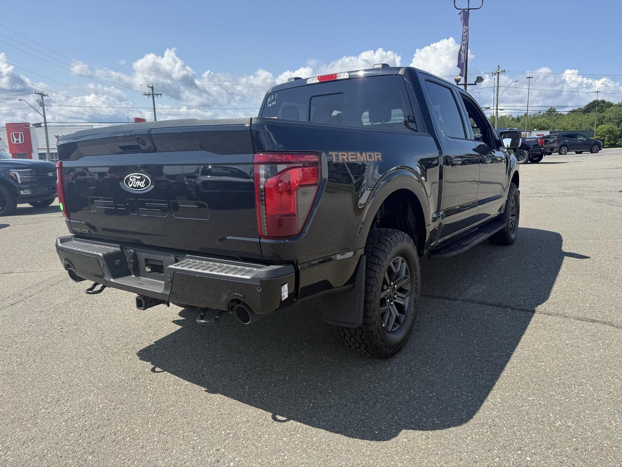 2026 Ford F-150 Tremor 4WD SuperCrew 5.5' Box Photo2