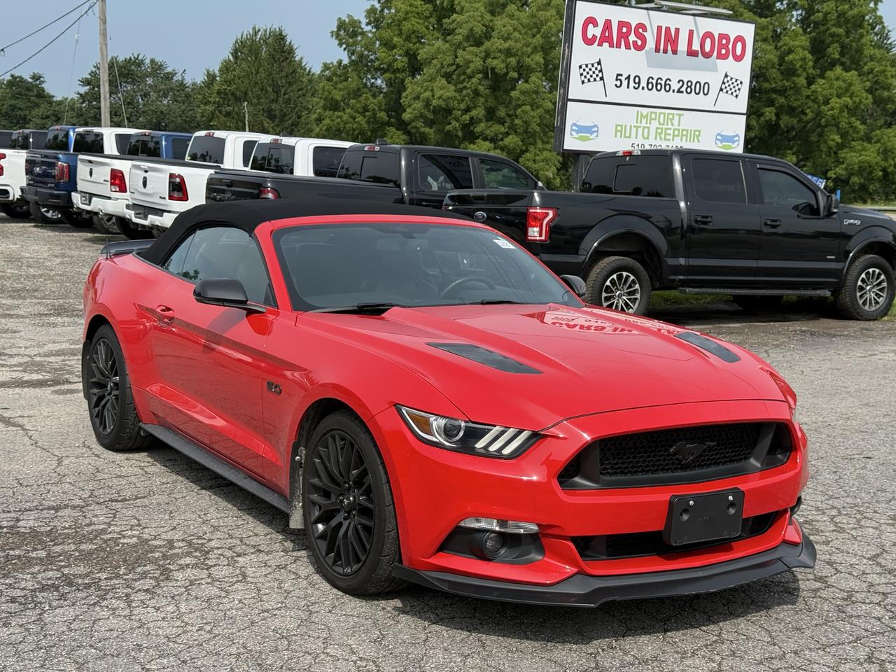 <p>2016 FORD MUSTANG GT 5.0!</p><p>Safety inspection included in the full asking price // Carfax available&nbsp;</p><p class=isSelectedEnd>Turn heads with this powerful and iconic 2016 Ford Mustang GT, equipped with a 5.0L V8 engine. Combining classic American muscle with modern styling and performance, this Mustang delivers an exciting driving experience with strong acceleration.</p><p>Featuring aggressive exterior styling, a sporty interior, and the performance you expect from a Mustang GT.</p><p data-start=139 data-end=305><strong>CARS IN LOBO LTD.&nbsp; &ndash; Your trusted pre-owned vehicle destination!</strong></p><p>&nbsp;</p><p data-start=139 data-end=305><strong>Located at 6355 Egremont Dr, Komoka, ON N0L 1R0 &mdash; just 7 km west of Hyde Park Rd. Heading west on Fanshawe Park Rd as it becomes Egremont Dr, you&rsquo;ll find us at the traffic lights on the corner of Egremont Dr & Narin Rd in Middlesex county township of Lobo.&nbsp;</strong></p><p>&nbsp;</p><p data-start=139 data-end=305><strong>Serving London, Ontario/Middlesex County for over 10 years. A registered member of the UCDA (Used Car Dealers Association of Ontario) and fully licensed with OMVIC (Ontario Motor Vehicle Industry Council).</strong></p><p>&nbsp;</p><hr><p>&nbsp;</p><p data-start=139 data-end=305><strong><span style=font-size: 14pt;>CARS IN LOBO LTD. (Buy - Sell - Trade - Finance)&nbsp; </span><span style=font-size: 14pt;>Office#&nbsp; 519 666 2800 </span><span style=font-size: 14pt;>TEXT# 519 630 6660</span></strong></p><p>&nbsp;</p><hr><p>&nbsp;</p><p data-start=312 data-end=770><strong>- /Quality, locally sourced pre-owned vehicles at a competitive price<br>- /Safety certification Inspection included at the Full Asking Price! (unless listed otherwise)</strong><br><strong>- /We take all trade ins at a competitive & fair value&nbsp;</strong><br><strong>- /We buy cars outright with no purchase&nbsp;necessary</strong><br data-start=352 data-end=355><strong>- /CARFAX reports available on all cars</strong><br data-start=462 data-end=465><strong>- /Extended warranty options available</strong><br data-start=590 data-end=593><strong>- /Financing options available</strong><br data-start=642 data-end=645><strong>- /We register & plate your vehicle for you (Licensing Extra)</strong><br data-start=714 data-end=717><strong>- /No hidden fees. No pressure. Easy going team that is here to help.&nbsp;</strong></p><p>&nbsp;</p><p data-start=777 data-end=908><strong>Message us anytime or feel free to drop by! We are here to help make your next vehicle purchase simple and stress-free. -> OPEN 6 DAYS WEEK MONDAY - SATURDAY&nbsp;</strong></p><p>&nbsp;</p><p data-start=777 data-end=908>&nbsp;</p>