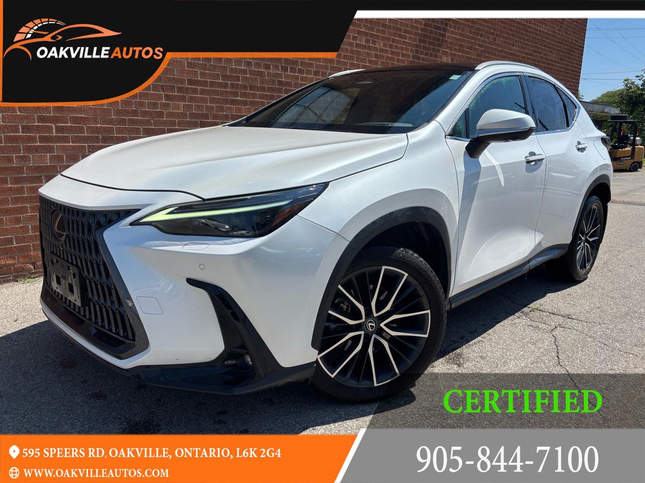Used 2024 Lexus NX 350 NX 350 Executive AWD for sale in Oakville, ON