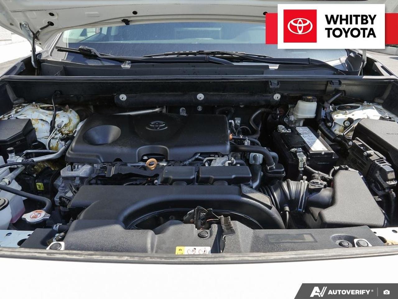 2020 Toyota RAV4 XLE 2.5L Photo