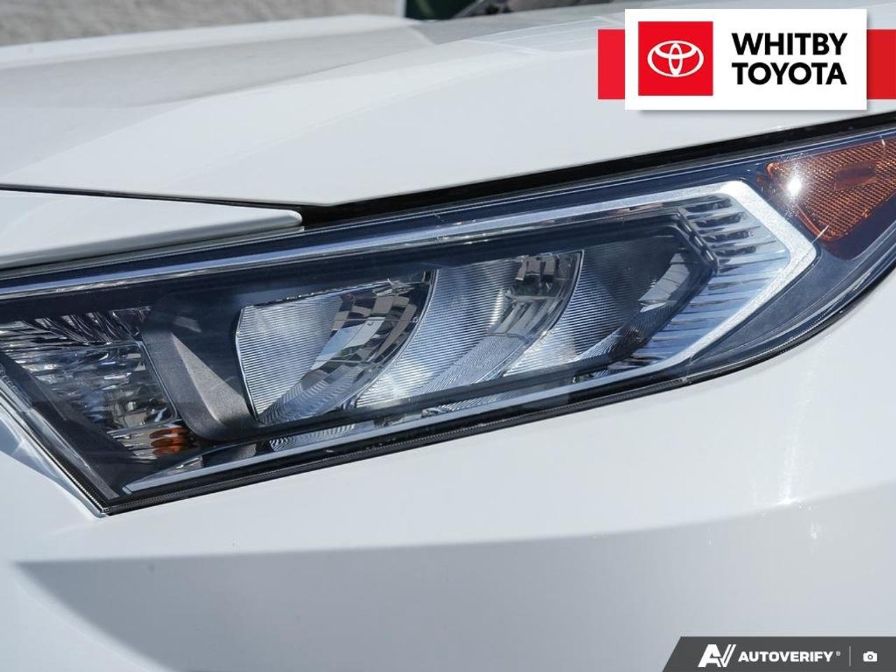2020 Toyota RAV4 XLE 2.5L Photo